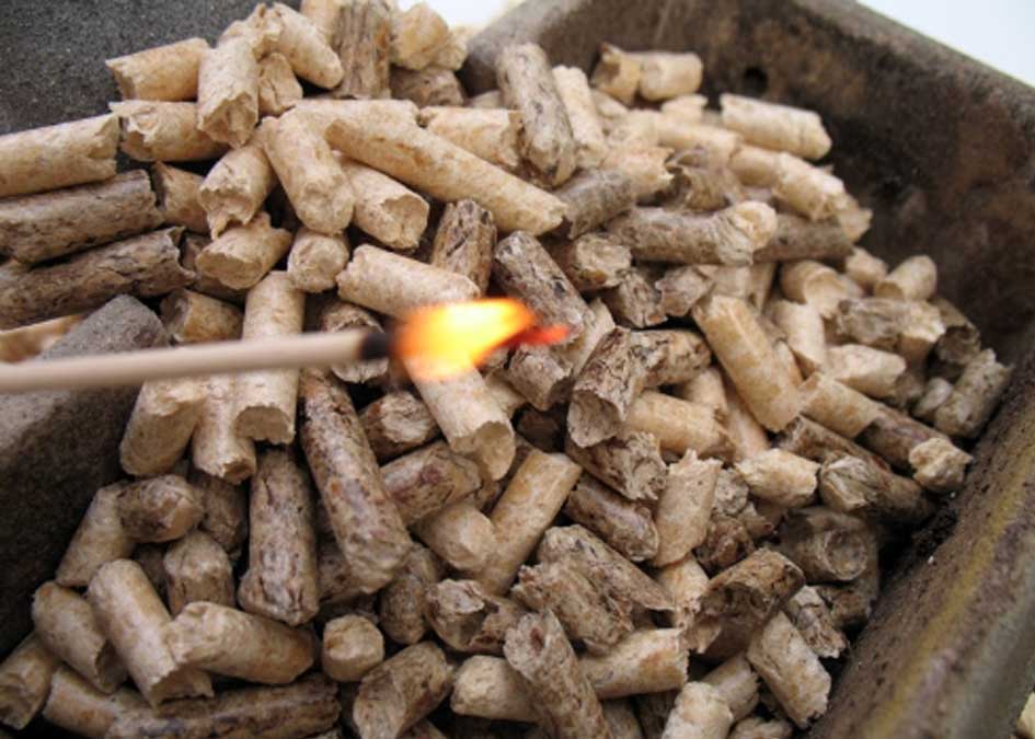 biomass whole seller dealers vijayawada andhrapradesh Amaravathi